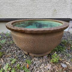 大きな陶器鉢の画像