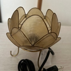 カピスロータスランプS 2個セットの画像