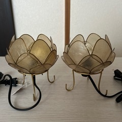 カピスロータスランプS 2個セットの画像