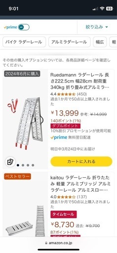 （相談中）Ruedamann ラダーレール
