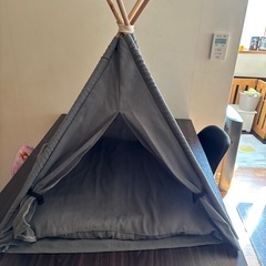 犬用テント？ベット？