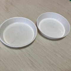鉢の受け皿　8号