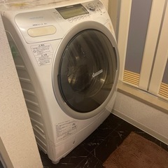 家電 生活家電 洗濯機