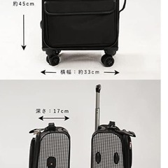 【定価17111円　使用時間20分】キャリーバッグ コロコロ 25L  の画像