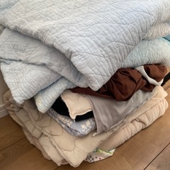 もらってください☺︎の画像