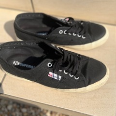 スペルガ  42　の画像