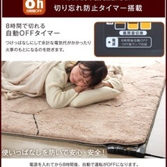 【お取引き中】ホットカーペット＆ラグ200×250cm アイスグレーの画像