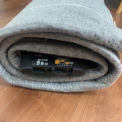 【お取引き中】ホットカーペット＆ラグ200×250cm アイスグレーの画像