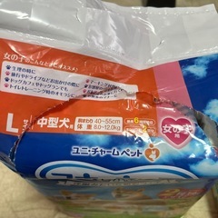 マナーウェア女の子用　L.Sセット
の画像