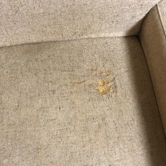 2人がけソファ　本日限定で配達可の画像