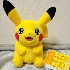 マイピカチュウ