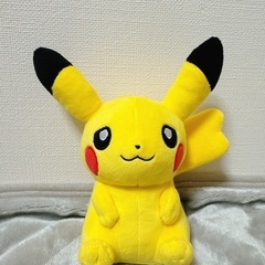 マイピカチュウ