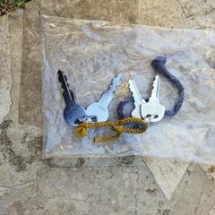 3輪電動アシスト自転車の画像