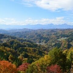 長野市近郊の名所　散策しませんか？