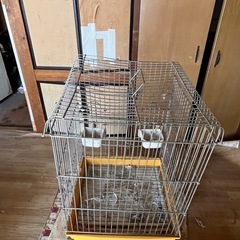 鳥かごの画像