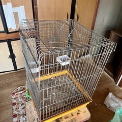 鳥かごの画像
