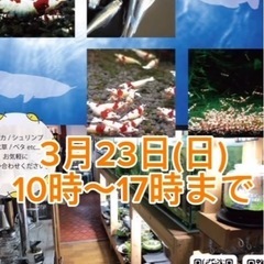 西区　Rougeのえびにてアクアイベント開催
