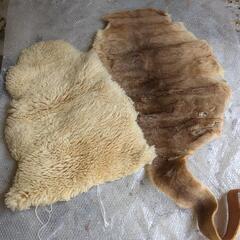 決まりました[中古品] 毛皮2枚セット