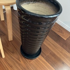 【もらって下さい】植木鉢 プランター の画像