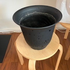 【もらって下さい】植木鉢 プランター の画像