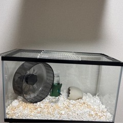 水槽 ハムスターケージ グッズ