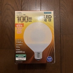 新品未使用　100形　LED電球　電球色