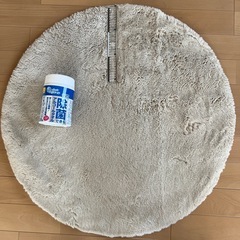 ラグの画像