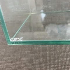 水槽 - GEXの画像