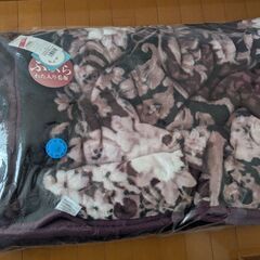 新品未使用 西川 綿入り毛布シングルサイズ