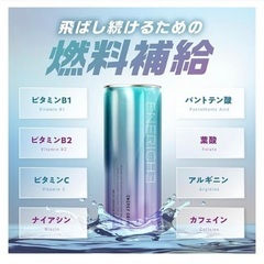 ENERICHEエネリッシュエナジードリンク13本の画像
