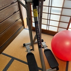 スカイウォーカー
