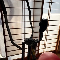 スカイウォーカー
の画像