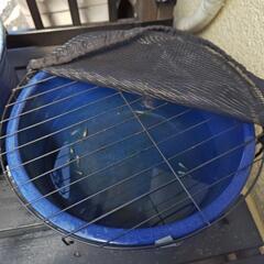 めだか　睡蓮鉢　　セット