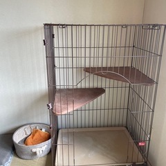 猫ゲージ