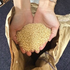 高山の米です🌾　28.3KGの画像