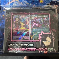 ポケモンスターターセット　マリィ&ダイゴセット