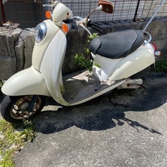 ホンダスクーピーの中古が安い！激安で譲ります・無料であげます