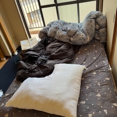ベッド　無料。