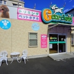 トリミングスタッフ募集！の画像