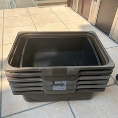 メダカ産卵容器