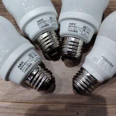 電球各種まとめての画像