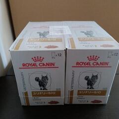 値下げ！ロイカナ ユリナリーs/oライト ウェット 12×2 療法食の画像