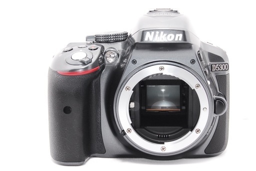 【希少色】グレー Wi-Fi機能 Nikon D5300 ショット数 2590回