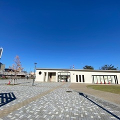 2025年7月、8月⭐︎朝ヨガスケジュール⭐︎の画像