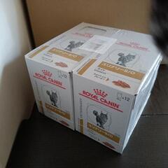 値下げ！ロイカナ 猫 ユリナリーs/oライト パウチ 12×2 の画像