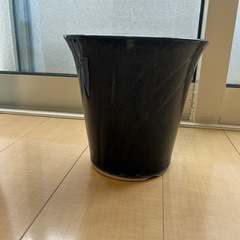 譲ります。　植木鉢