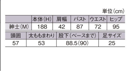 【本日限定・超美品】メンズ用 全身トルソー マネキン