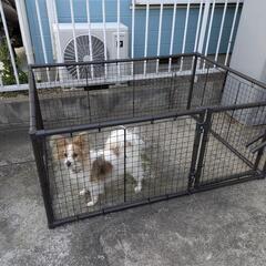 犬用サークル　パピヨンで使用してました　ケージ