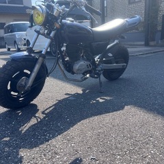 エイプ50の画像