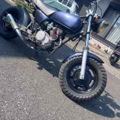 エイプ50の画像